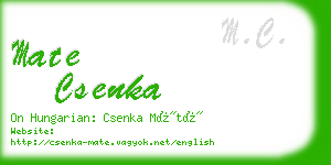 mate csenka business card